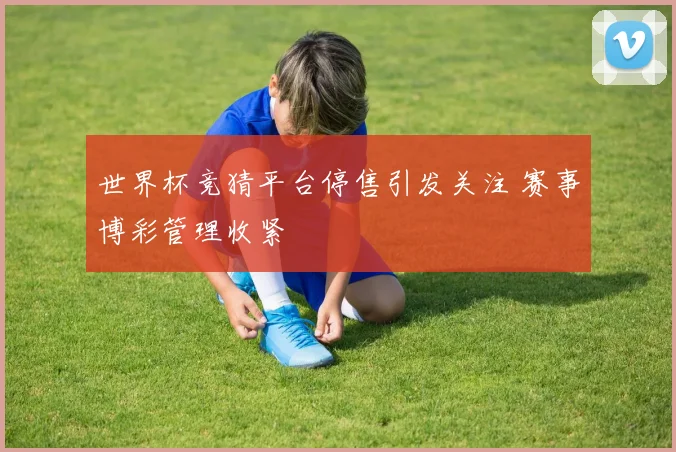 世界杯竞猜平台停售引发关注 赛事博彩管理收紧