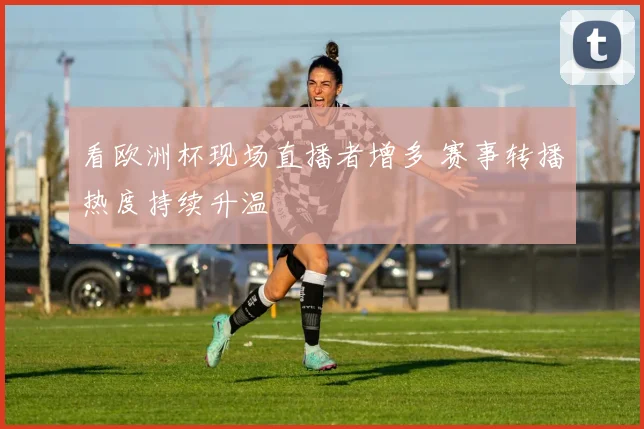 看欧洲杯现场直播者增多 赛事转播热度持续升温