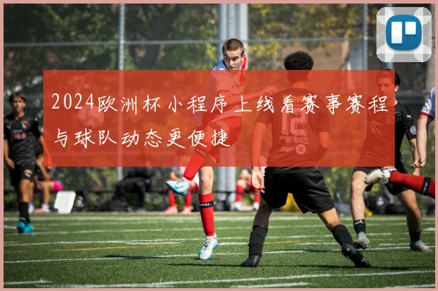2024欧洲杯小程序上线看赛事赛程与球队动态更便捷