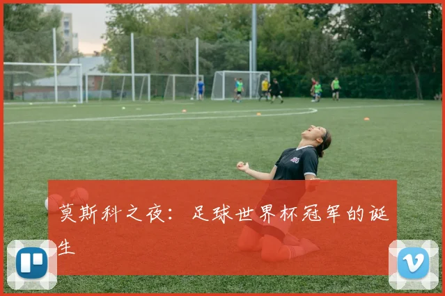 莫斯科之夜：足球世界杯冠军的诞生