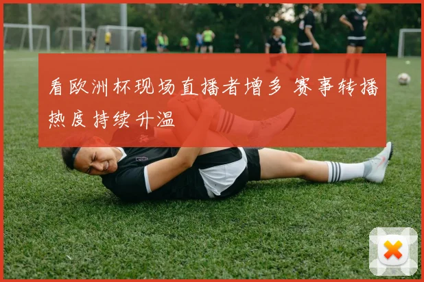 看欧洲杯现场直播者增多 赛事转播热度持续升温