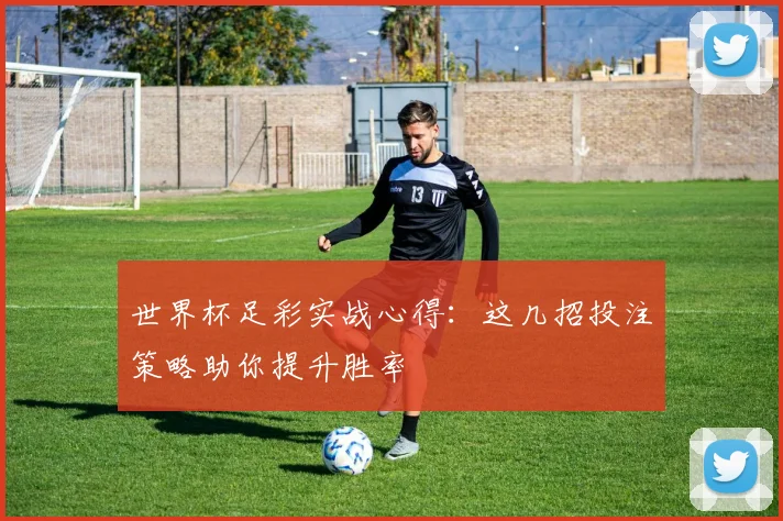 世界杯足彩实战心得:这几招投注策略助你提升胜率
