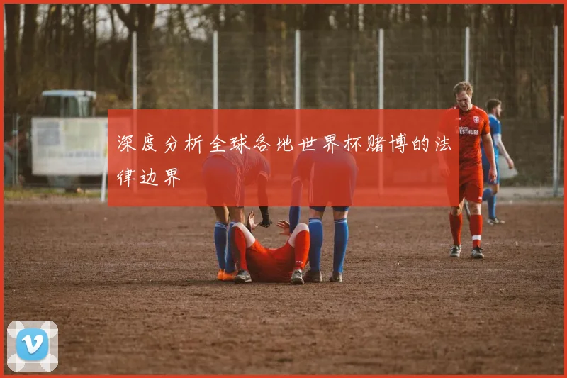 深度分析全球各地世界杯赌博的法律边界