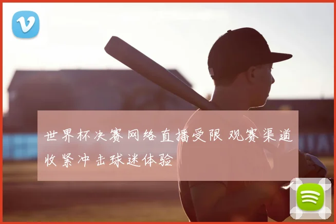 世界杯决赛网络直播受限 观赛渠道收紧冲击球迷体验