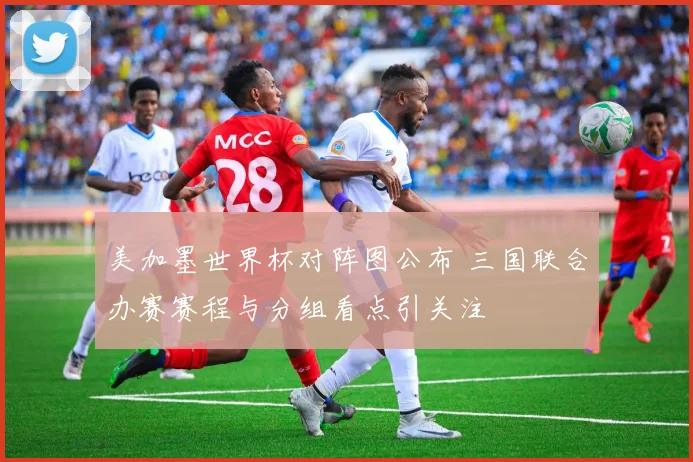 美加墨世界杯对阵图公布 三国联合办赛赛程与分组看点引关注