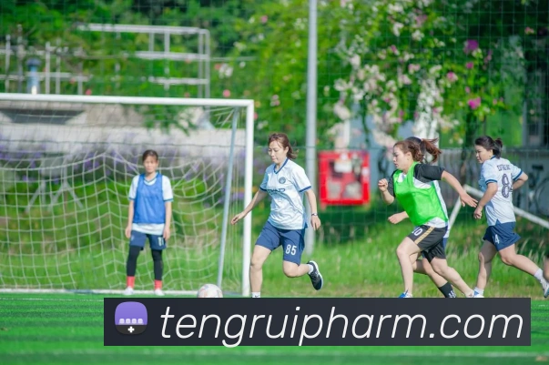 App Interface Preview